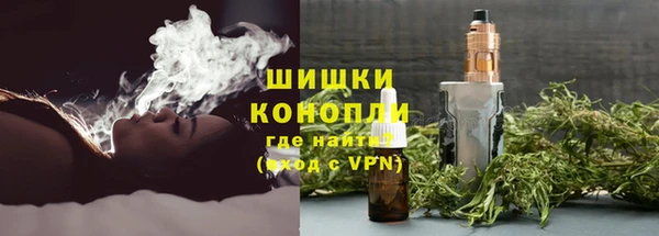 ГАЛЛЮЦИНОГЕННЫЕ ГРИБЫ Лихославль