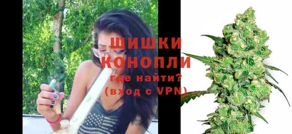 ГАЛЛЮЦИНОГЕННЫЕ ГРИБЫ Лихославль